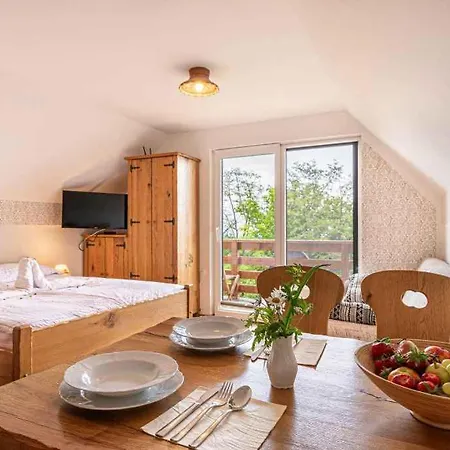 Apartment In - Dolenjska Bela Krajina Unter- Weisskrain 35158